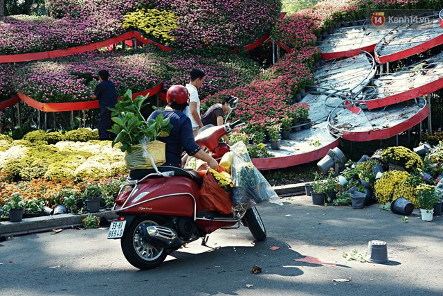 Hội hoa Xuân kết thúc, người dân Sài Gòn hào hứng xin hoa miễn phí về chưng cho đỡ uổng phí - Ảnh 5.