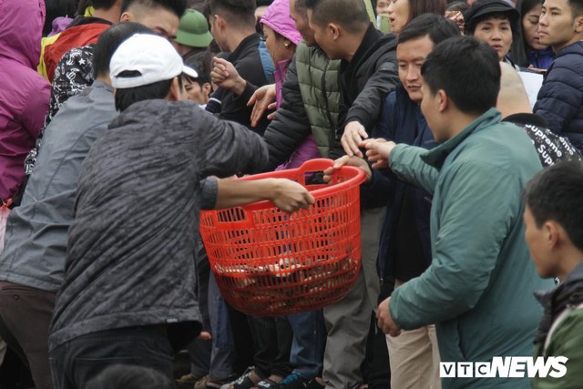 15.000 người tham gia thả 10 tấn cá xuống sông Hồng trong lễ phóng sinh lớn nhất Hà Nội - Ảnh 5.