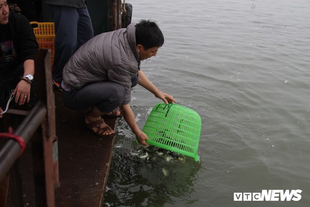 15.000 người tham gia thả 10 tấn cá xuống sông Hồng trong lễ phóng sinh lớn nhất Hà Nội - Ảnh 6.