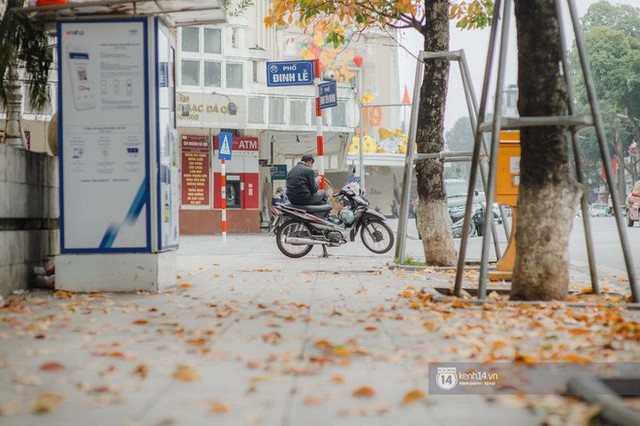 Hà Nội những ngày mùa xuân lá đỏ lá vàng: Đẹp mãi thế này thì khỏi cần đi Hàn hay Nhật luôn nhỉ? - Ảnh 18.