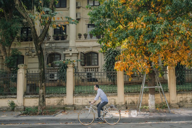 Hà Nội những ngày mùa xuân lá đỏ lá vàng: Đẹp mãi thế này thì khỏi cần đi Hàn hay Nhật luôn nhỉ? - Ảnh 20.