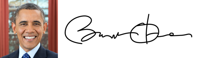 Độc đáo chữ ký của 45 tổng thống Mỹ - Ảnh 9.