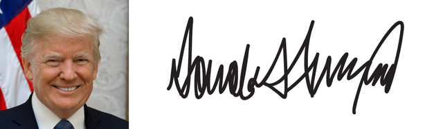 Độc đáo chữ ký của 45 tổng thống Mỹ - Ảnh 10.