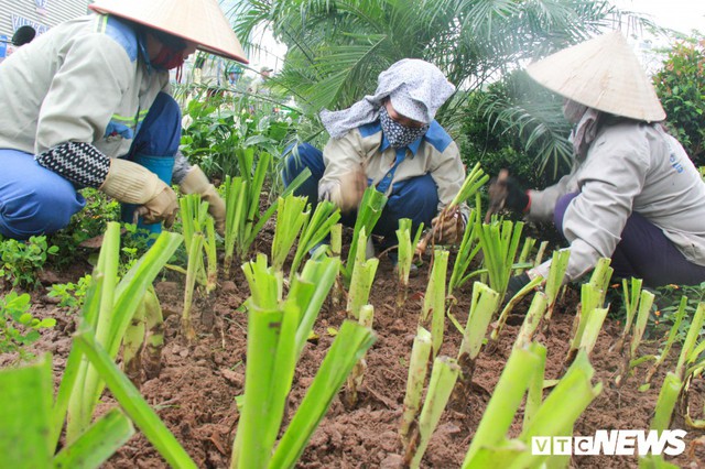 Ảnh: Đường phố Hà Nội rợp cờ hoa trước thềm Hội nghị thượng đỉnh Mỹ - Triều - Ảnh 8.