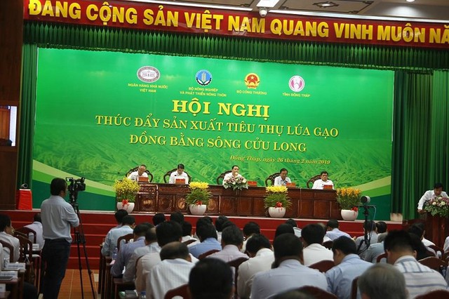 Gạo Việt mang về hơn 3 tỉ đô nhưng bất ngờ lận đận - Ảnh 1.