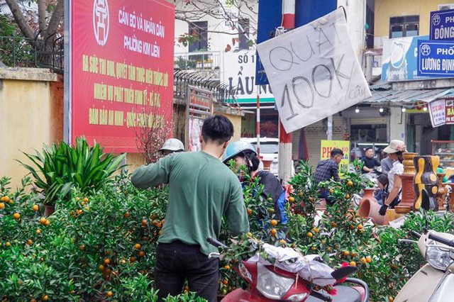 Quất, đào đại hạ giá tràn ngập phố Hà Nội ngày 30 Tết - Ảnh 4.