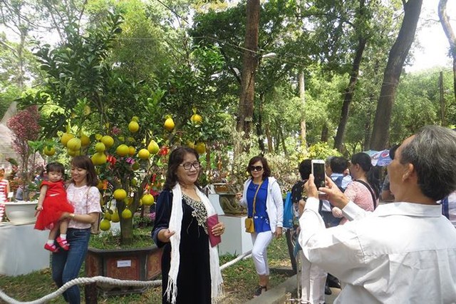 Đi chơi tết, dân Sài Gòn thích thú ngắm kỳ hoa dị thảo - Ảnh 1.