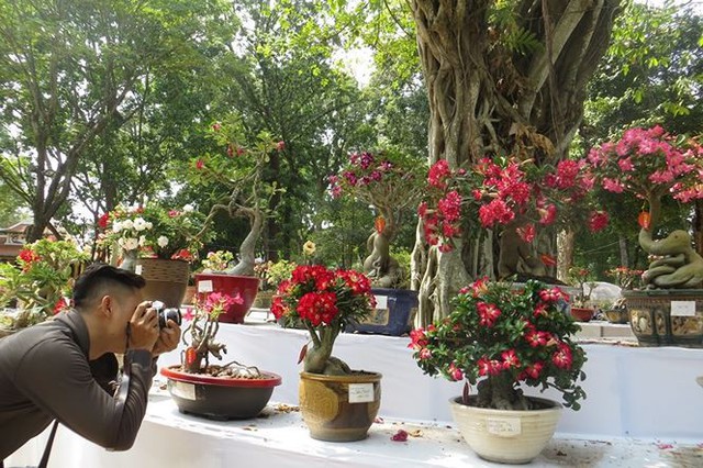Đi chơi tết, dân Sài Gòn thích thú ngắm kỳ hoa dị thảo - Ảnh 4.