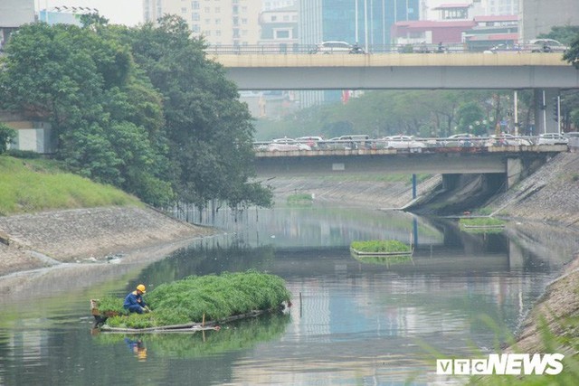  Sau 4 năm thả bè thủy trúc, nước sông Tô Lịch giờ ra sao? - Ảnh 1.