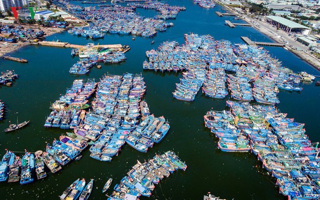 Ngắm âu thuyền, cảng cá Thọ Quang từ trên cao - Ảnh 1.