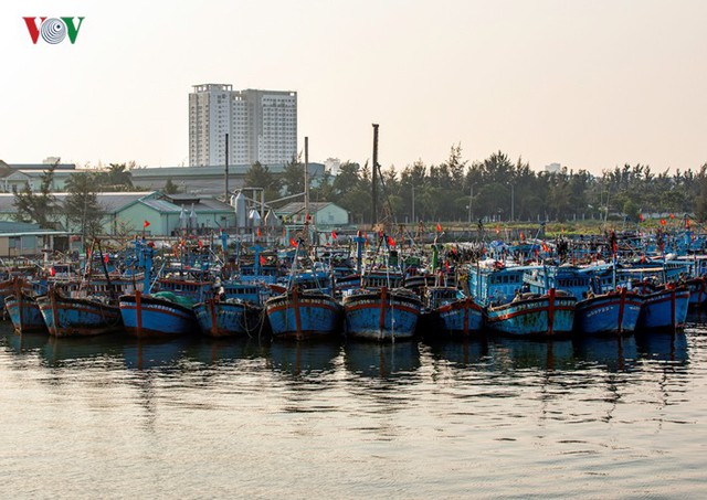 Ngắm âu thuyền, cảng cá Thọ Quang từ trên cao - Ảnh 11.