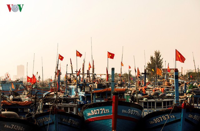 Ngắm âu thuyền, cảng cá Thọ Quang từ trên cao - Ảnh 12.