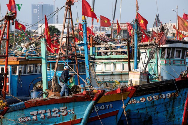 Ngắm âu thuyền, cảng cá Thọ Quang từ trên cao - Ảnh 13.