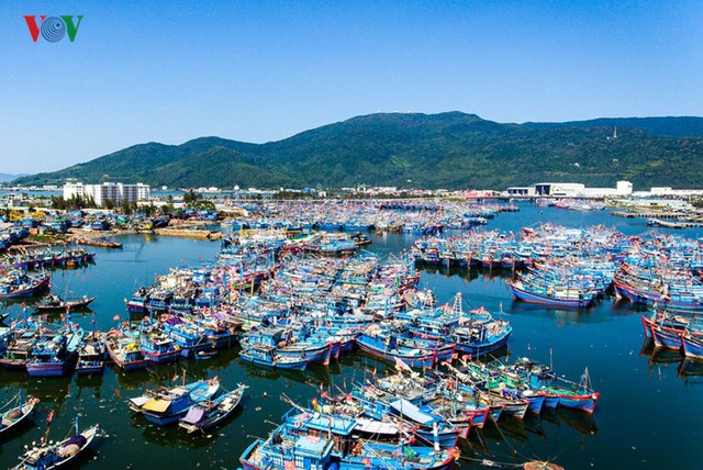 Ngắm âu thuyền, cảng cá Thọ Quang từ trên cao - Ảnh 14.