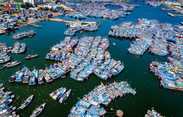 Ngắm âu thuyền, cảng cá Thọ Quang từ trên cao - Ảnh 15.