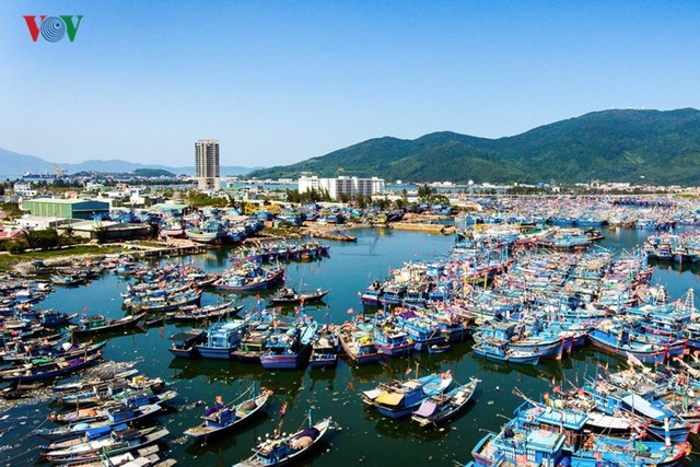 Ngắm âu thuyền, cảng cá Thọ Quang từ trên cao - Ảnh 16.
