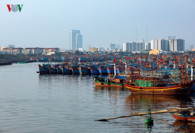 Ngắm âu thuyền, cảng cá Thọ Quang từ trên cao - Ảnh 18.