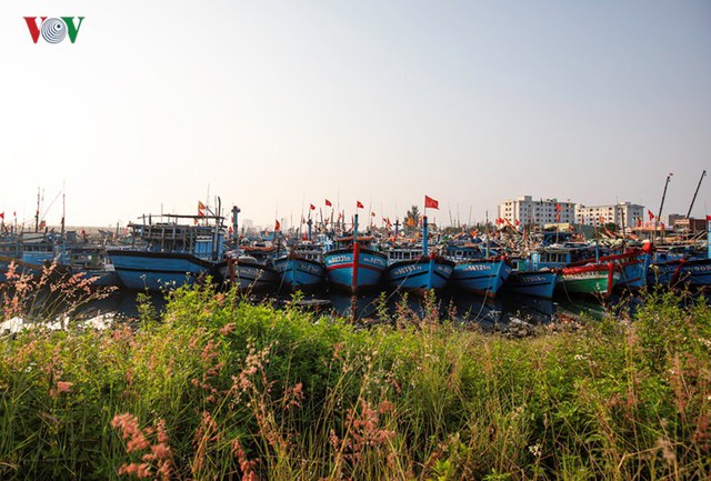 Ngắm âu thuyền, cảng cá Thọ Quang từ trên cao - Ảnh 3.
