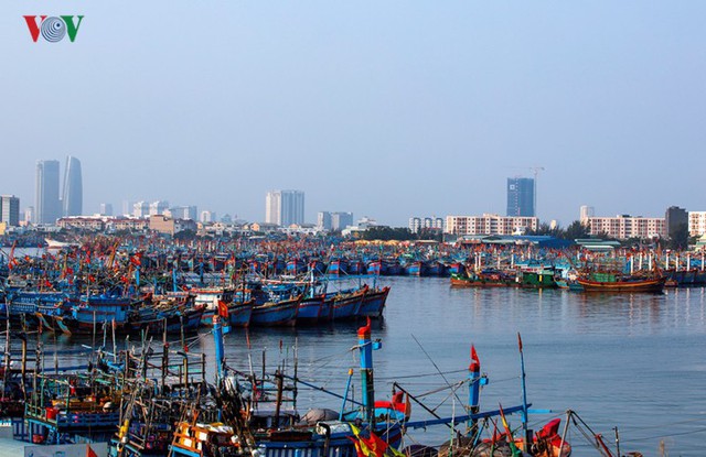 Ngắm âu thuyền, cảng cá Thọ Quang từ trên cao - Ảnh 4.