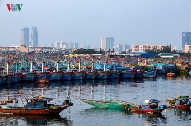 Ngắm âu thuyền, cảng cá Thọ Quang từ trên cao - Ảnh 6.