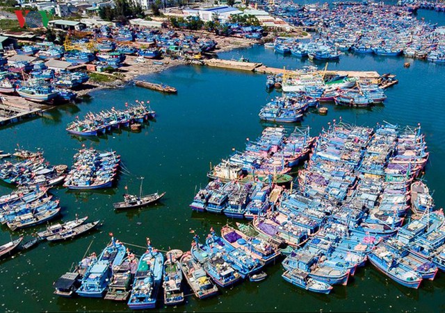 Ngắm âu thuyền, cảng cá Thọ Quang từ trên cao - Ảnh 7.