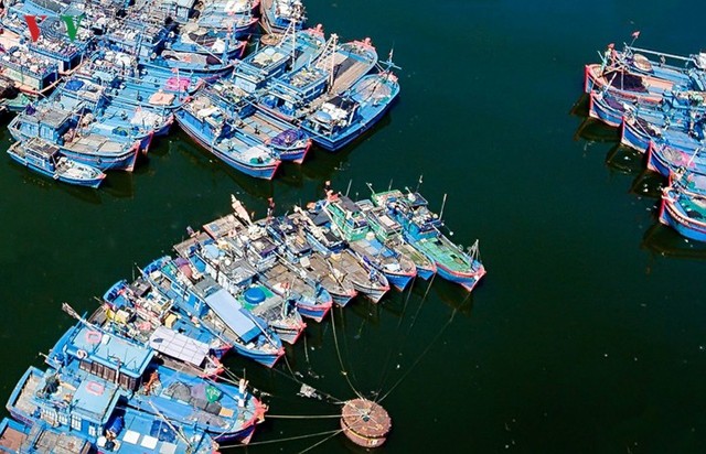 Ngắm âu thuyền, cảng cá Thọ Quang từ trên cao - Ảnh 8.