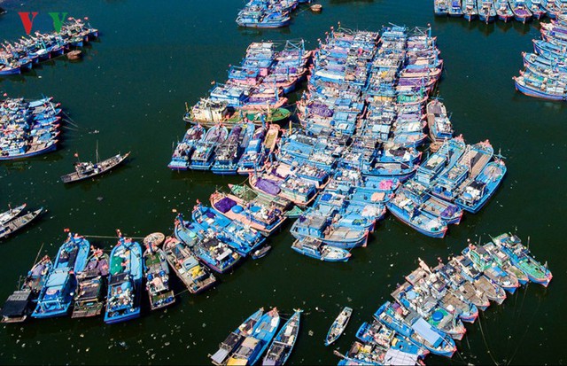 Ngắm âu thuyền, cảng cá Thọ Quang từ trên cao - Ảnh 9.
