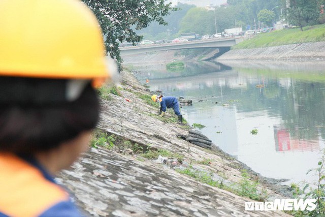  Sau 4 năm thả bè thủy trúc, nước sông Tô Lịch giờ ra sao? - Ảnh 9.