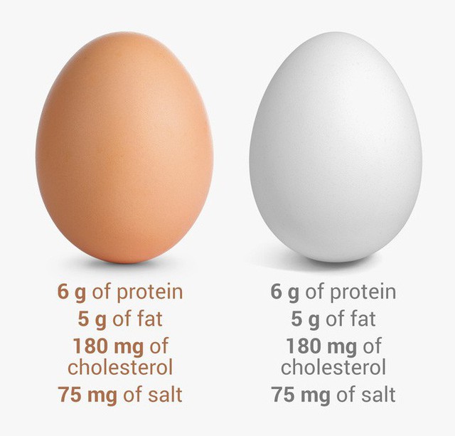  8 điều hiểu lầm khiến nhiều người tưởng trứng không tốt mà kiêng không dám ăn - Ảnh 1.