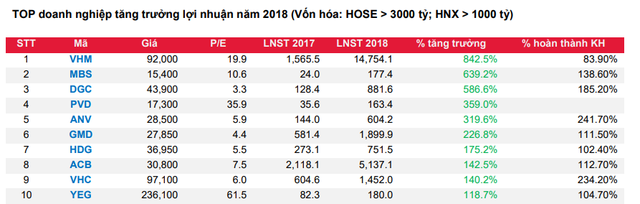 Những doanh nghiệp có lợi nhuận tăng ‘phi mã’ - Ảnh 1.