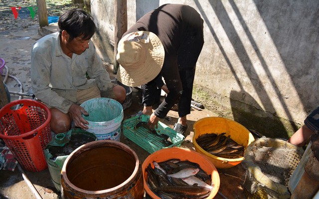 Thu tiền triệu từ cá đồng thiên nhiên nơi Đất Mũi – Cà Mau - Ảnh 10.