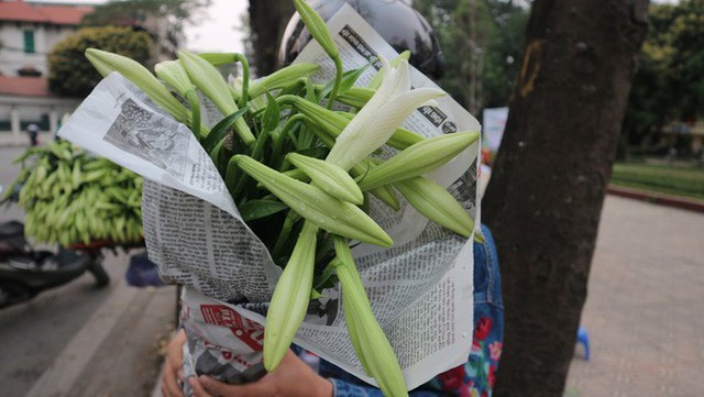 Loài hoa hái ra tiền bỗng dưng mất tích ở thủ phủ hoa Tây Tựu? - Ảnh 10.