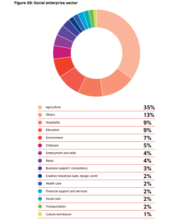 Những con số gây bất ngờ về doanh nghiệp xã hội ở Việt Nam - Ảnh 3.