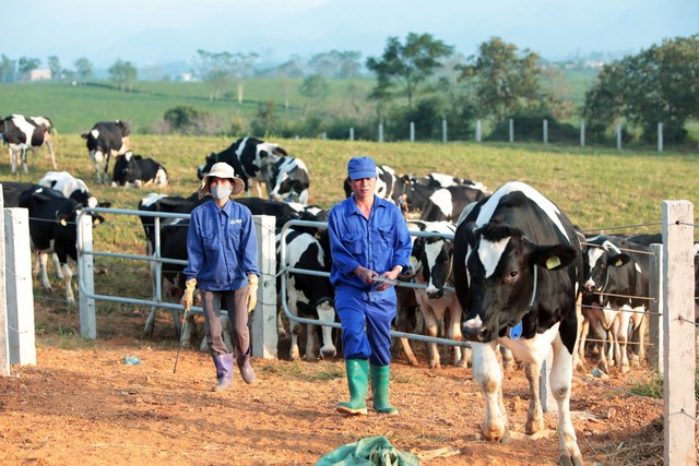 HĐQT GTNfoods KHÔNG đồng ý đề nghị chào mua công khai cổ phiếu GTN của Vinamilk - Ảnh 1.