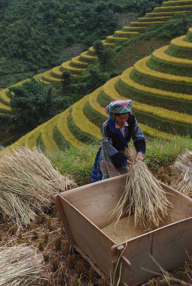 Đường dây bán những cô gái Việt sang Trung Quốc làm vợ lên báo nước ngoài - Ảnh 1.