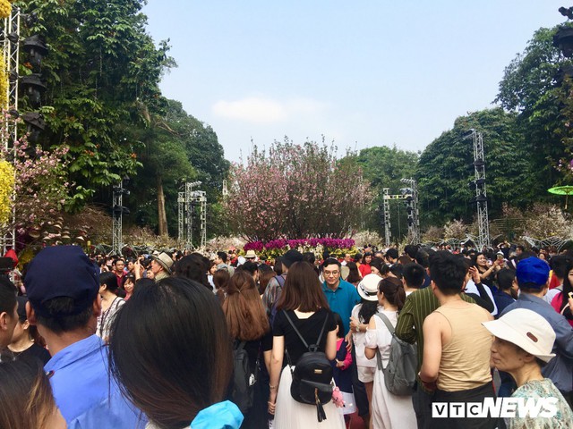 Ảnh: Nghìn người nô nức đổ về phố đi bộ Hà Nội tham gia Lễ hội hoa anh đào - Ảnh 10.