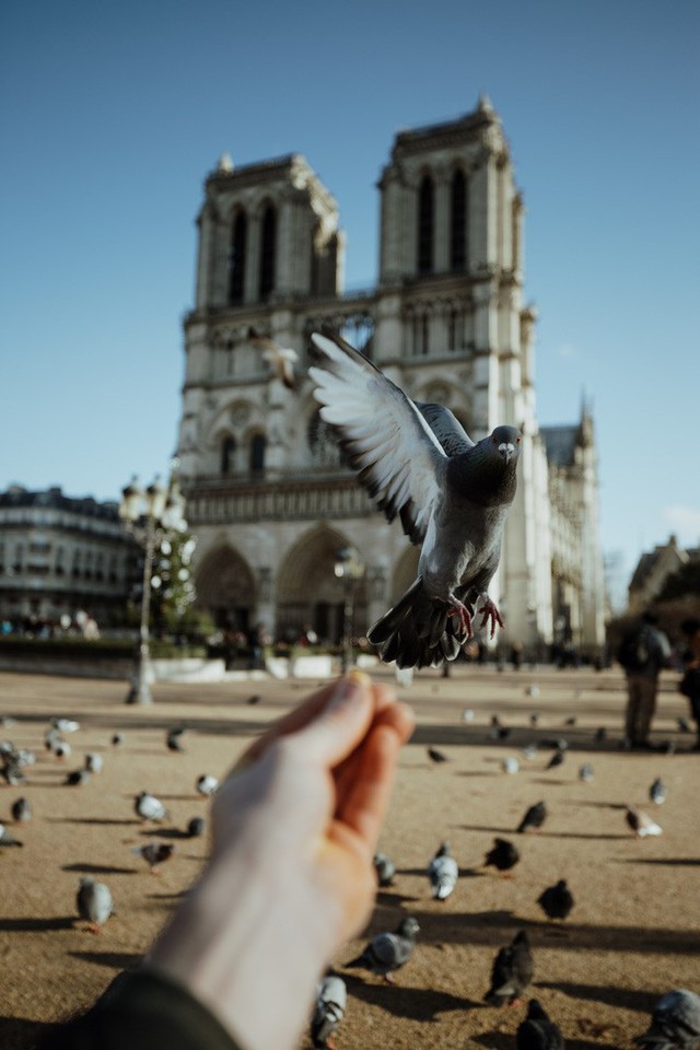 Trước khi sụp đổ một phần vì vụ cháy chấn động, Nhà thờ Đức Bà ở Paris từng là biểu tượng bình yên của cả nước Pháp - Ảnh 7.