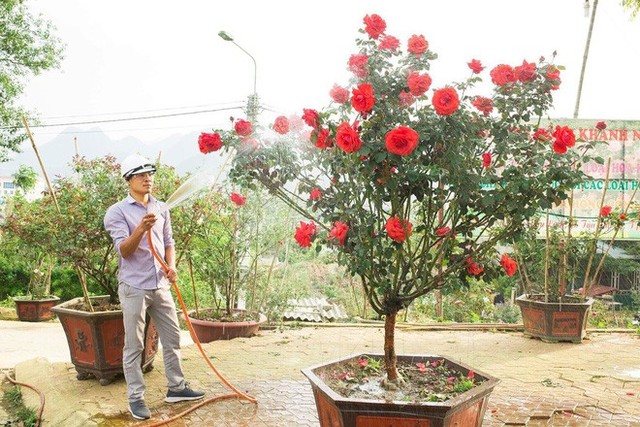 Bỏ ngân hàng đi trồng hoa, chàng trai gây dựng vườn hồng bạc tỷ “đẹp vạn người mê” - Ảnh 5.