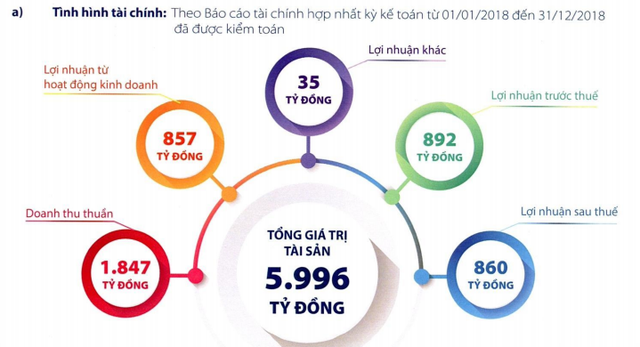 Vinafor (VIF): Kế hoạch lãi sau thuế đi ngang, ước đạt 870 tỷ đồng năm 2019 - Ảnh 1.