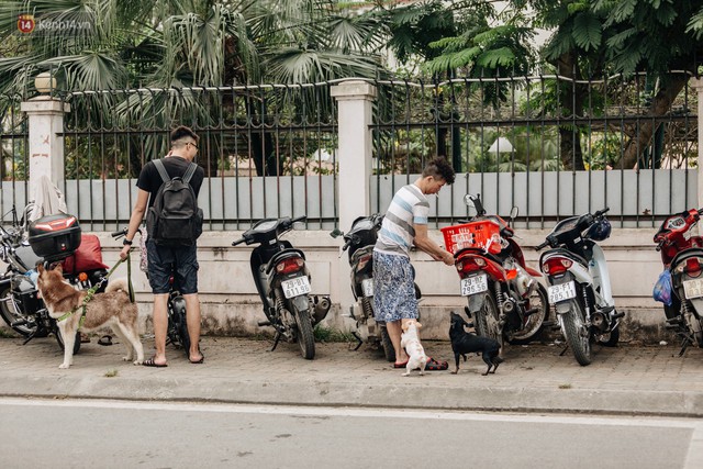 Hà Nội oi nóng ngộp thở, nhiều người mang theo cả thú cưng ra Hồ Tây tắm bất chấp biển cấm - Ảnh 15.