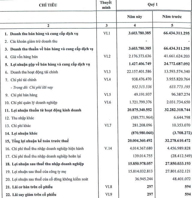 Không ghi nhận nguồn thu bất động sản, Nhà Đà Nẵng (NDN) vẫn báo lãi trong quý 1/2019 nhờ gửi ngân hàng hơn 1.100 tỷ đồng - Ảnh 2.