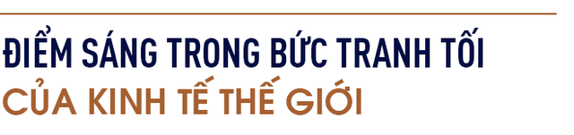 TS. Trương Văn Phước: Tôi không cho rằng khủng hoảng kinh tế sẽ xảy ra, thế giới ngày nay đã khôn ngoan hơn rất nhiều sau những va vấp - Ảnh 1.