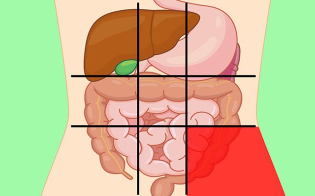 GS tiêu hoá chia sẻ: 7 vị trí đau bụng ai cũng cần biết để nhận diện mối nguy hiểm - Ảnh 1.
