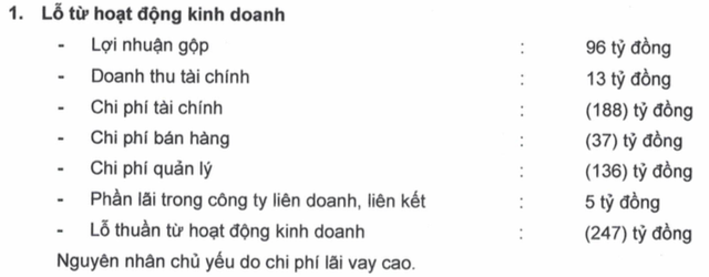 HAGL Agrico (HNG): Doanh thu trái cây giảm, quý 1/2019 lỗ ròng 99 tỷ đồng - Ảnh 1.