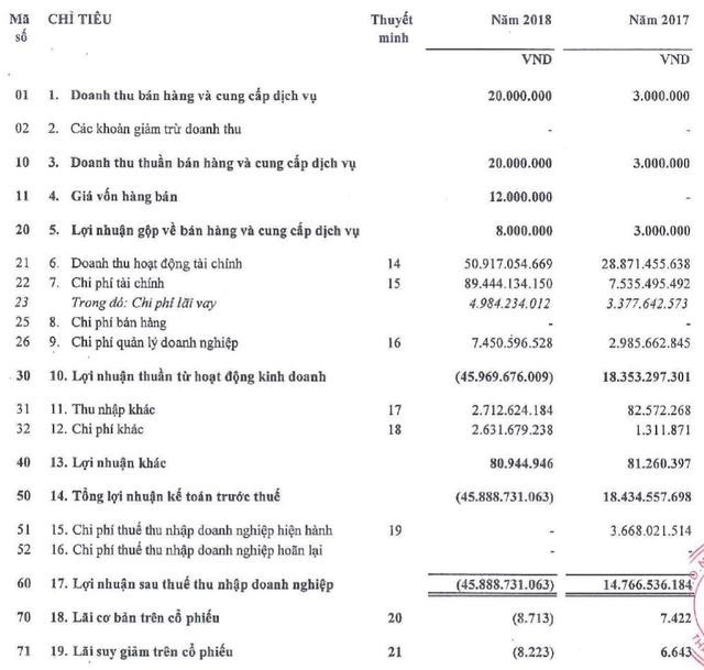 Hestia lỗ 46 tỷ đồng trong năm 2018 vì “tất tay” VPB và tham gia chứng khoán phái sinh - Ảnh 1. Hestia lỗ 46 tỷ đồng trong năm 2018 vì “tất tay” VPB và tham gia chứng khoán phái sinh - Ảnh 1.