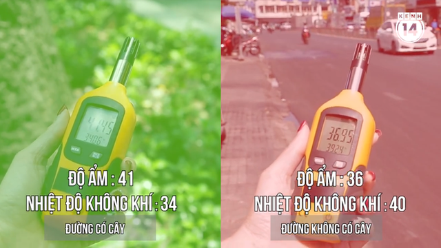 Clip: Sài Gòn nóng bức và đây là sự chênh lệch nhiệt độ giữa đường nhiều cây xanh và đường không một bóng cây - Ảnh 5.