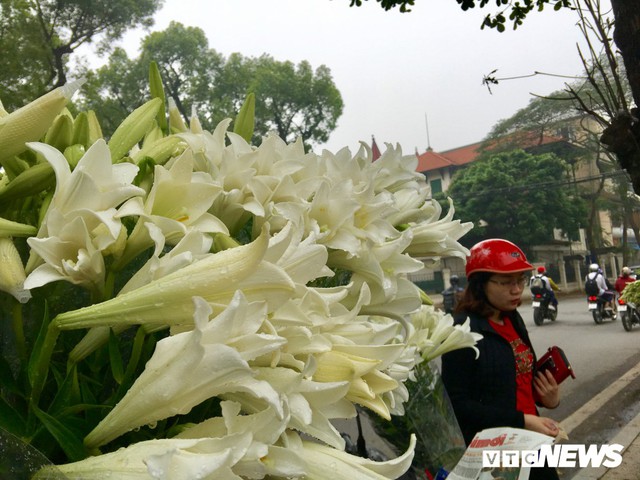 Ảnh: Mùa hoa loa kèn gọi tháng Tư về khắp các con phố Hà Nội - Ảnh 3.