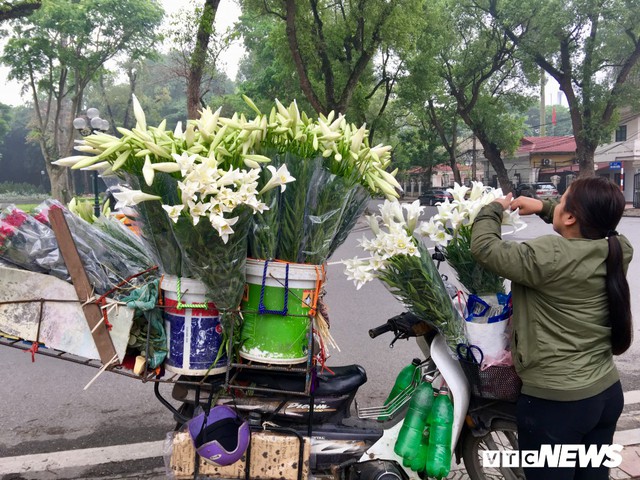 Ảnh: Mùa hoa loa kèn gọi tháng Tư về khắp các con phố Hà Nội - Ảnh 5.
