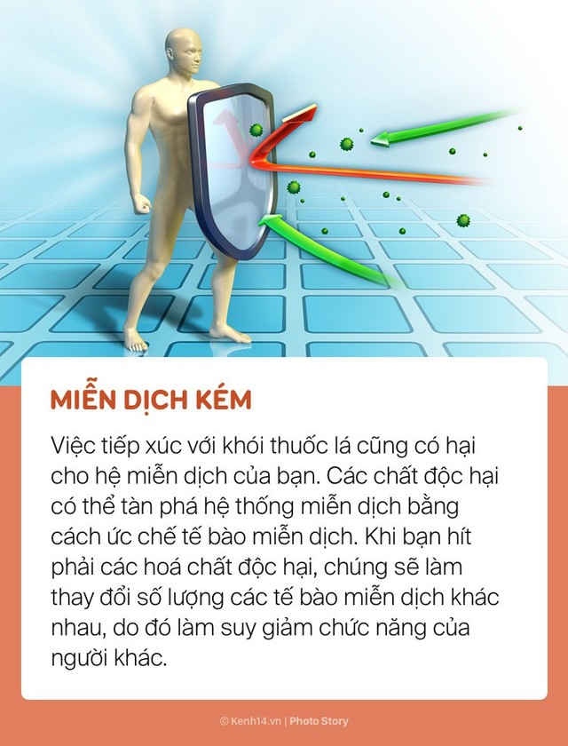 Khói thuốc lá và những tác hại nghiêm trọng đến sức khoẻ của những người xung quanh - Ảnh 6.