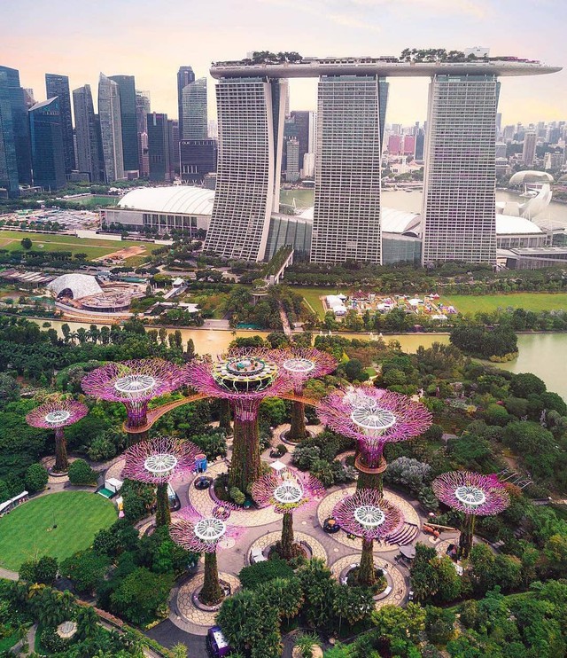 Sau Jewel Changi, Singapore lại có thêm “kỳ quan” vườn hoa treo khổng lồ khiến dân tình phải ngước lên “mỏi cả cổ” để ngắm nhìn - Ảnh 2.